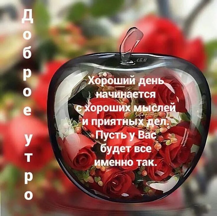 Картинки хорошего дня здоровье пожелания настроения Пин от пользователя Марина Дудина на доске читать Открытки, Утренние цитаты, Кар