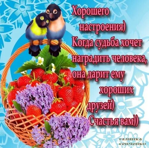 Картинки хорошего дня здоровье пожелания настроения Открытка Хорошего настроения) Когда судьба хочет наградить человека