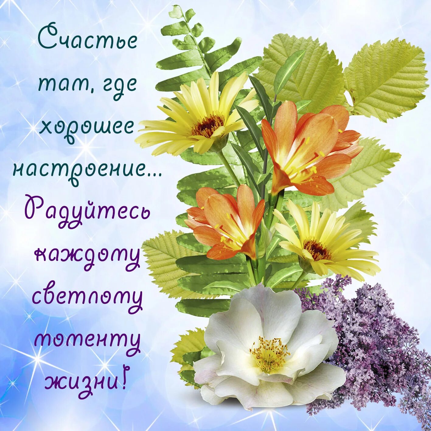 Картинки хорошего дня здоровья и благополучия Картинки ПОЖЕЛАТЬ УДАЧИ И СЧАСТЛИВОГО ДНЯ