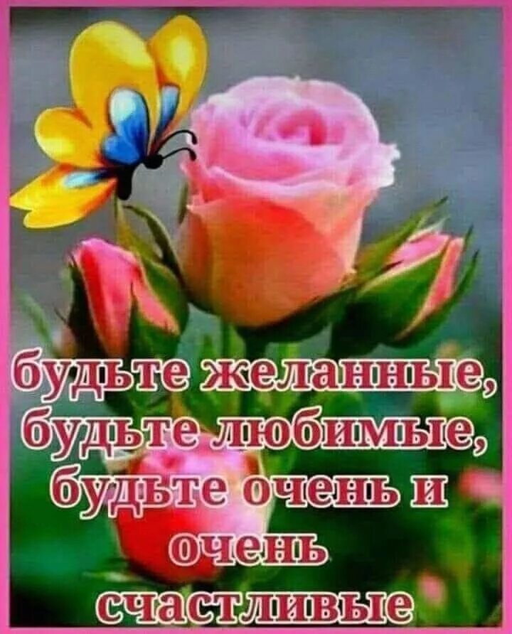 Картинки хорошего дня здоровья и благополучия Пин на доске Пожелания Маки цветы, Открытки, Счастливые картинки