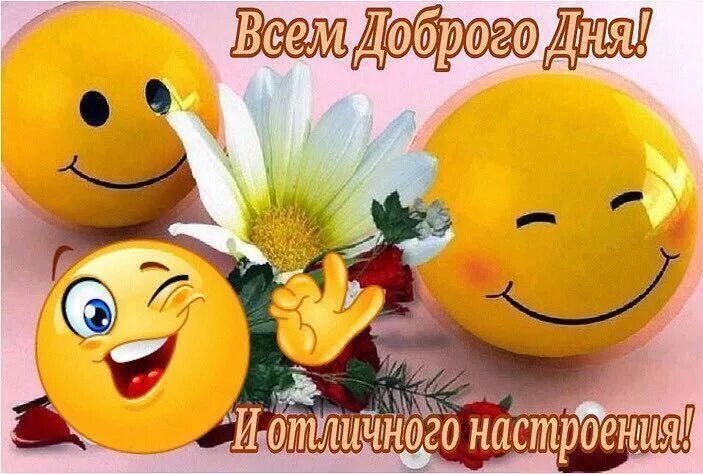 Картинки хорошего дня здоровья настроения Пин от пользователя alena на доске юмор Смешные смайлики, Доброе утро, Милые отк