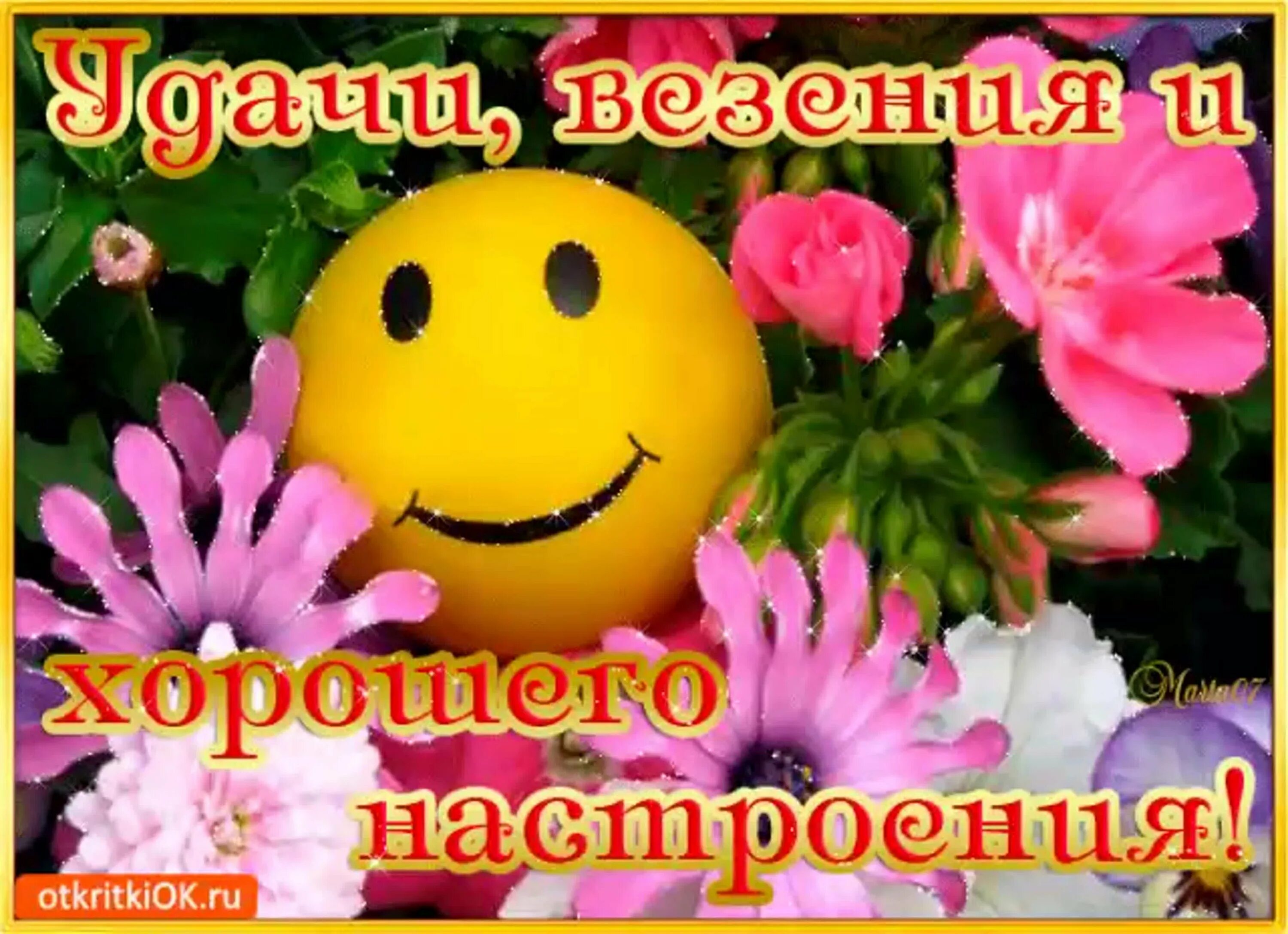 Картинки хорошего дня здоровья настроения Прекрасного дня и много позитива: найдено 75 изображений