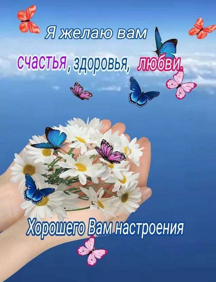 Картинки хорошего дня здоровья настроения Пин от пользователя irina spasova на доске Обичам те Открытки, Счастливые картин
