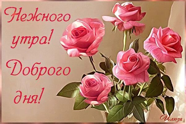 Картинки хорошего дня женщине с цветами Анимированная открытка Открытки с пожеланием доброго утра Доброе утро, Картинки,