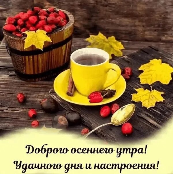 Картинки хорошего доброго утра осень Доброго осеннего утра! 2022 МИР вокруг нас ВКонтакте