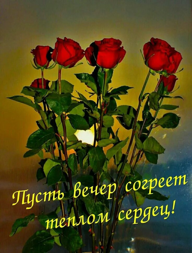 Картинки хорошего доброго вечера друзьям Pin de galina en добрый вечер