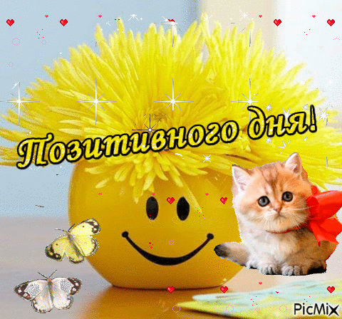 Картинки хорошего и позитивного настроения красивые Ответы Mail.ru: И почему мужчину против *шерсти* гладить нельзя?