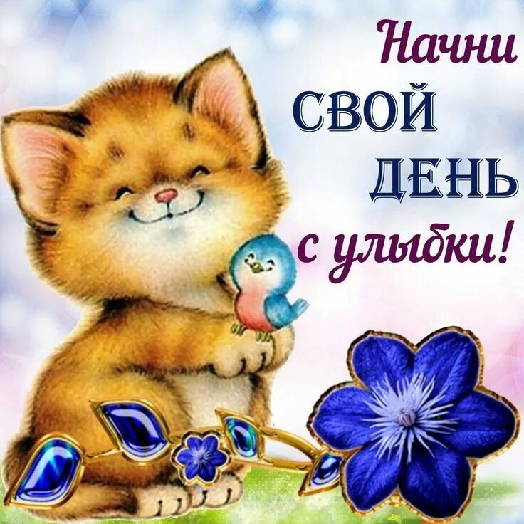 Картинки хорошего и позитивного настроения красивые Pin auf доброе утро Guten morgen, Gute wünsche, Guten morgen bilder