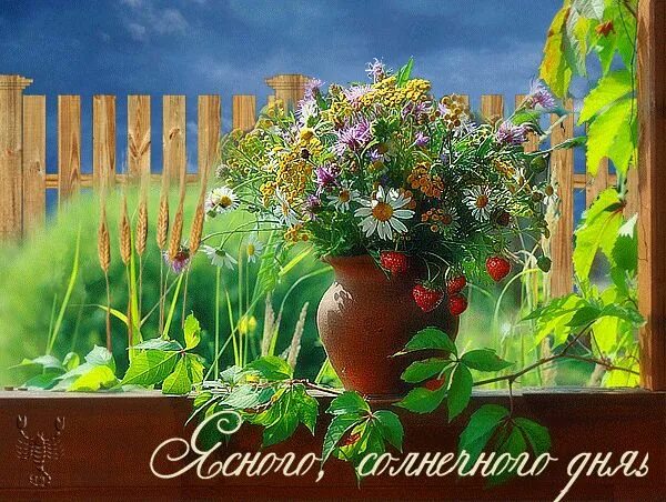 Картинки хорошего летнего дня красивые скачать Ясного, солнечного дня! Painting, Art, Cats