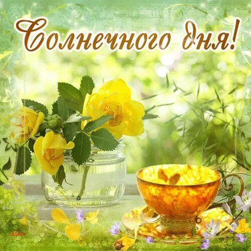 Картинки хорошего летнего дня красивые скачать Pin di Elina *** su Открытки Хорошего настроения!