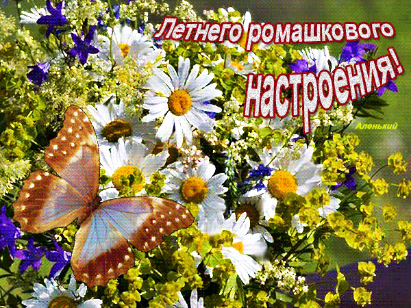 Картинки хорошего летнего дня женщине ВСТРЕЧАЕМ ПОСЛЕДНИЙ ДЕНЬ ИЮЛЯ-2023! - Просто ДОБРОЕ УТРО , пользователь Галина А