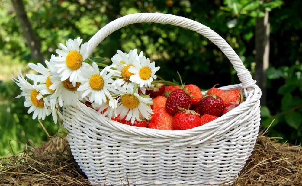 Картинки хорошего летнего дня женщине Pin by Tamara Palacios on о чем поет душа Decorative wicker basket, Home decor, 