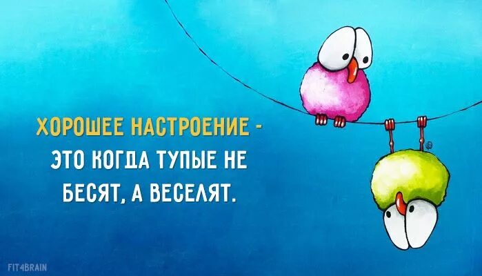 Картинки хорошего настроения прикольные позитивные Открытка дня Смешно, Вдохновляющие цитаты, Цитаты