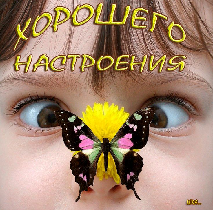 Картинки хорошего настроения прикольные позитивные новые Остановить анимацию
