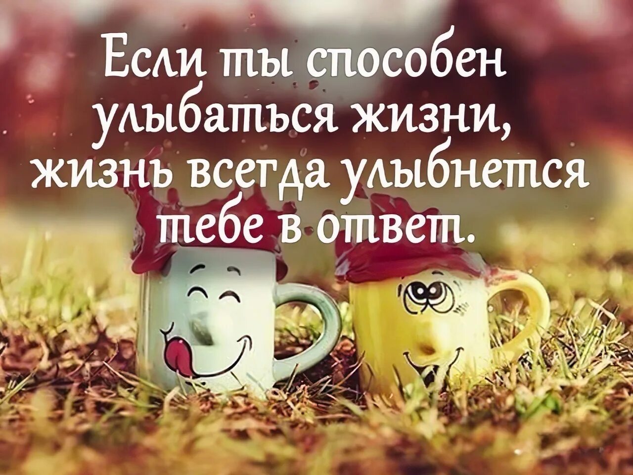 Картинки хорошего настроения со смыслом позитивные Утро доброе картинки позитивные жизненные: найдено 56 изображений
