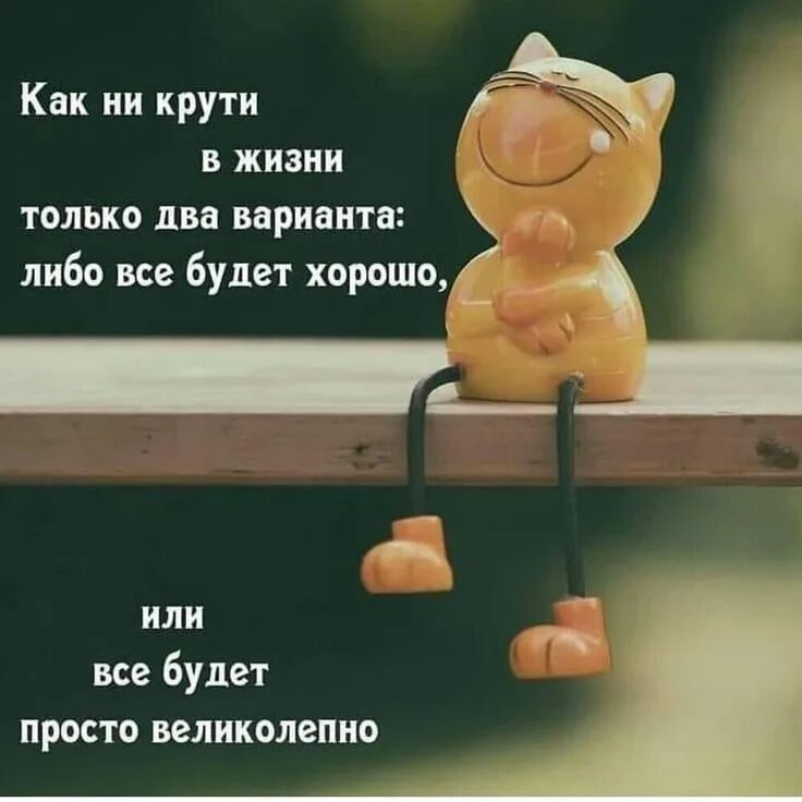 Картинки хорошего настроения со смыслом позитивные Цитаты на каждый день on Instagram: "#доброеутро #утро #жизнь #хаха #юмор #улыбк