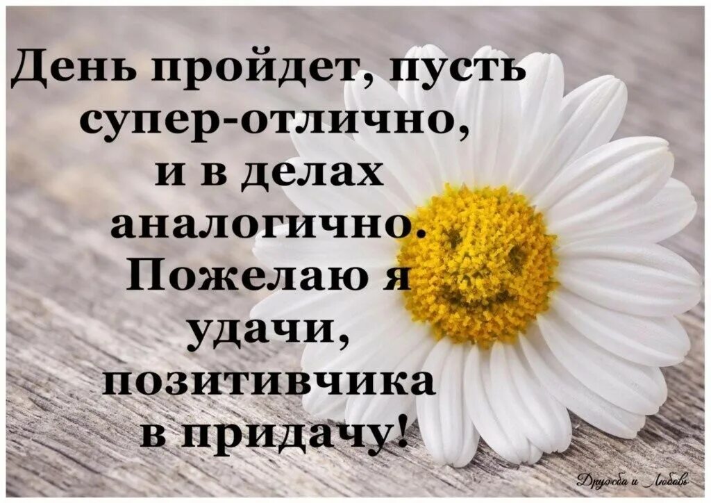 Картинки хорошего настроения со смыслом позитивные Хорошего дня слова со смыслом