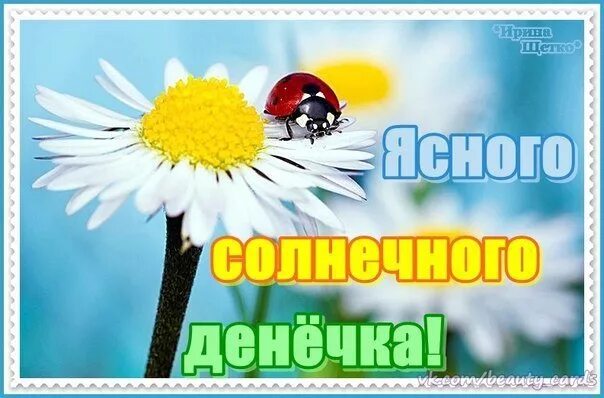 Картинки хорошего позитивного денечка Открытка Ясного солнечного денёчка!