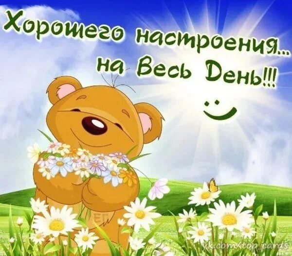 Картинки хорошего позитивного денечка Служба заказа легкового транспорта в Барнауле - отзыв и оценка - Анна