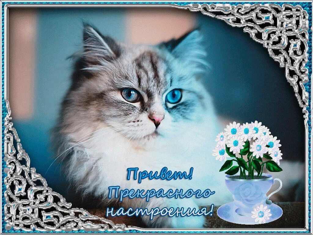 Картинки хорошего спокойного дня Пожелать доброго чудесного дня: найдено 80 изображений
