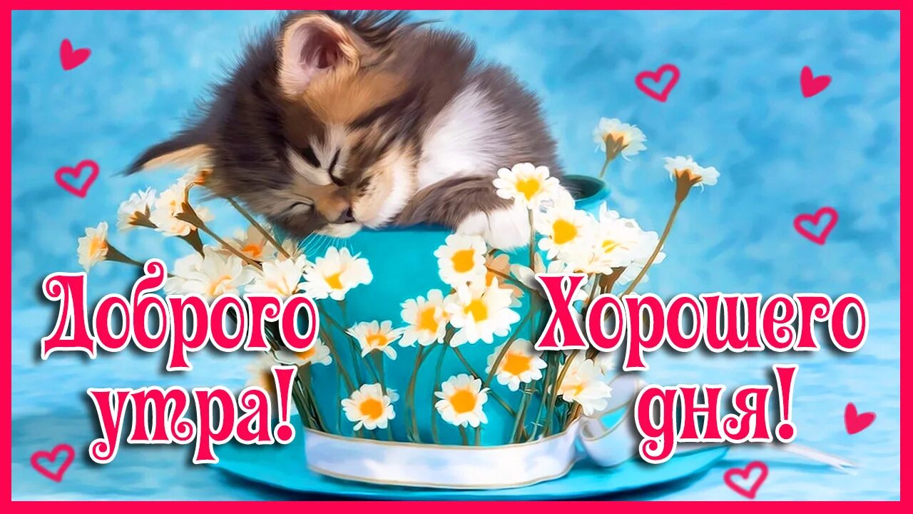 Картинки хорошего спокойного дня Доброго утра! Хорошего дня! - смотреть видео онлайн от "Поздравляшки. Поздравлен