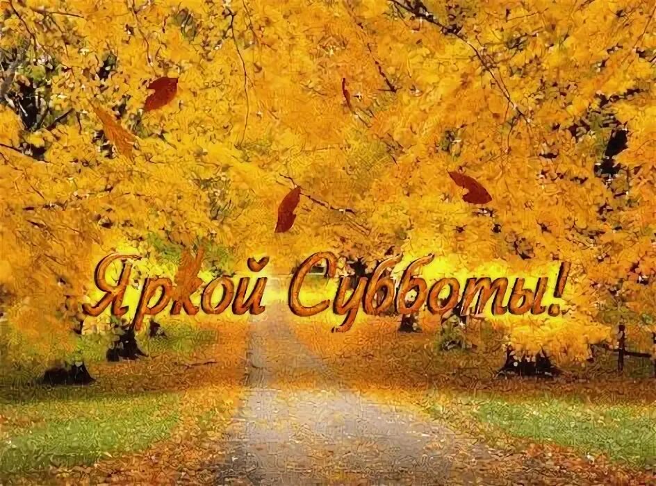 Картинки хорошего субботнего дня осенние Анимированная открытка для тебя Открытки, Субботы, Открытки ко дню рождения