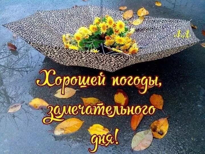 Картинки хорошего субботнего дня осенние Pin by Лёля Galustyan on Пожелания с добрым утром