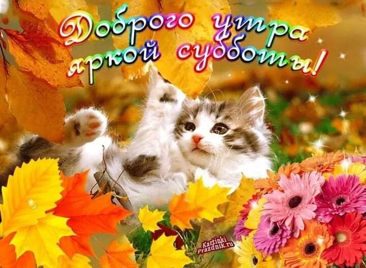 Картинки хорошего субботнего дня осенние Pin di Лёля Galustyan su Осінь