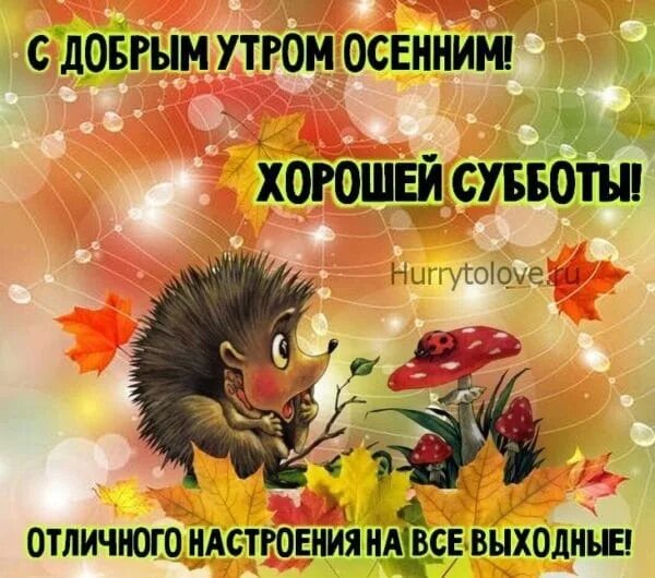 Картинки хорошего субботнего дня осенние Счастливой осени с безоблачными днями... Цветной листвы, шуршащей под ногами... 