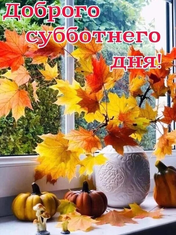 Картинки хорошего субботнего дня осенние С добрым утром субботы #Вологодскаяобласть #Вологда #город #октябрь #доброеутро 