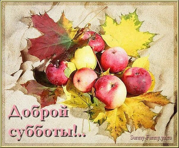 Картинки хорошего субботнего дня осенние On the calendar 2 October, good Saturday ! 2021 Ка Z ачья медиа группа (ЛНР Стах