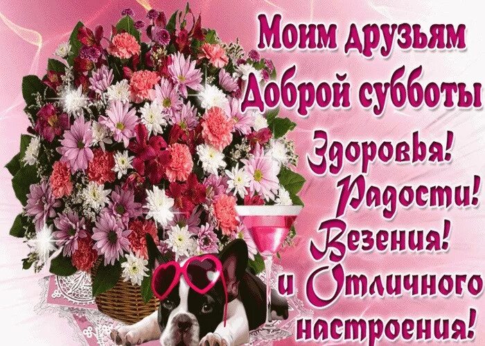 Картинки хорошего субботнего дня прикольные С субботой - красивые картинки (100 открыток) * Прикольные картинки Klike.net