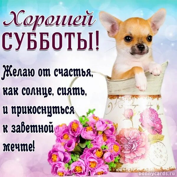 Картинки хорошего субботнего дня прикольные ПРЕКРАСНЫХ ВЫХОДНЫХ! - БЕСЕДА У КАМИНА (КОМУ ЗА...), пользователь Елена Сазонова