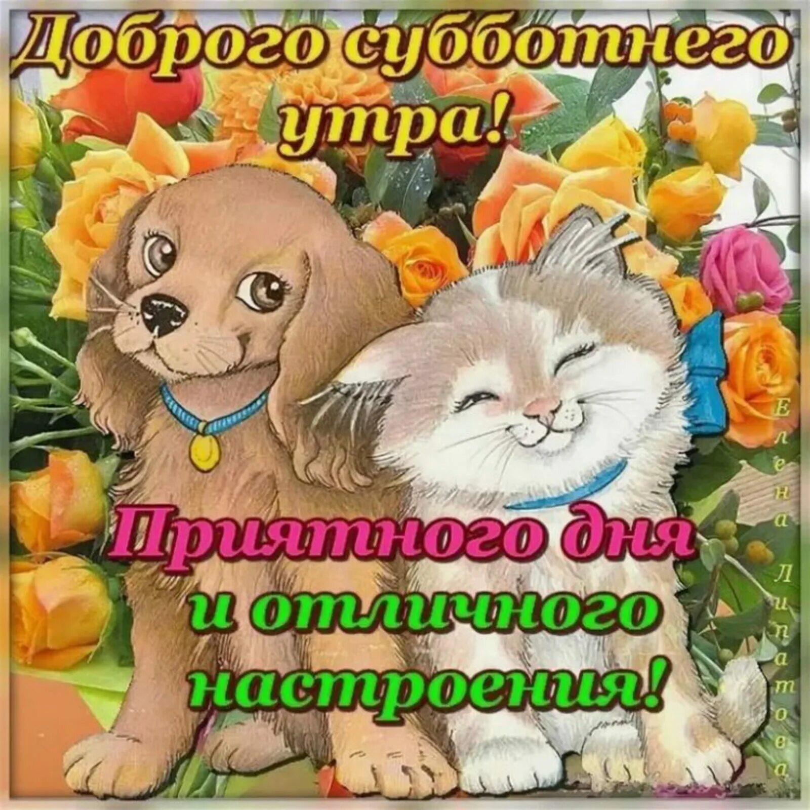 Картинки хорошего субботнего дня прикольные Доброго субботнего утра
