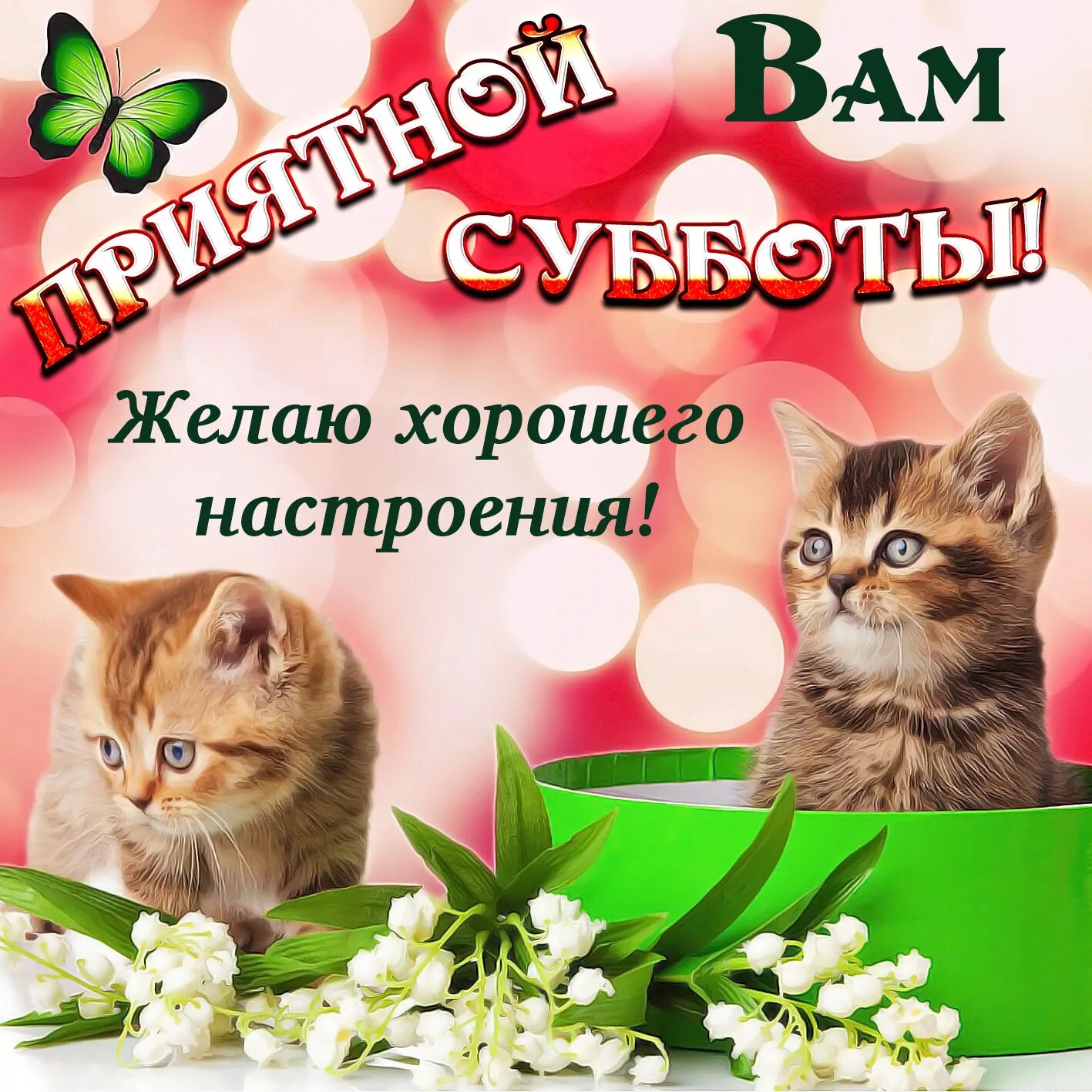 Картинки хорошего субботнего дня прикольные Хорошая открытка про Субботу