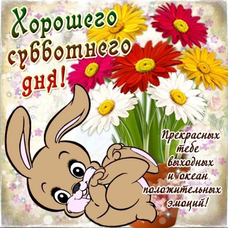 Картинки хорошего субботнего дня прикольные Дорогие друзья, приятного субботнего вечера и хорошего воскресного дня.