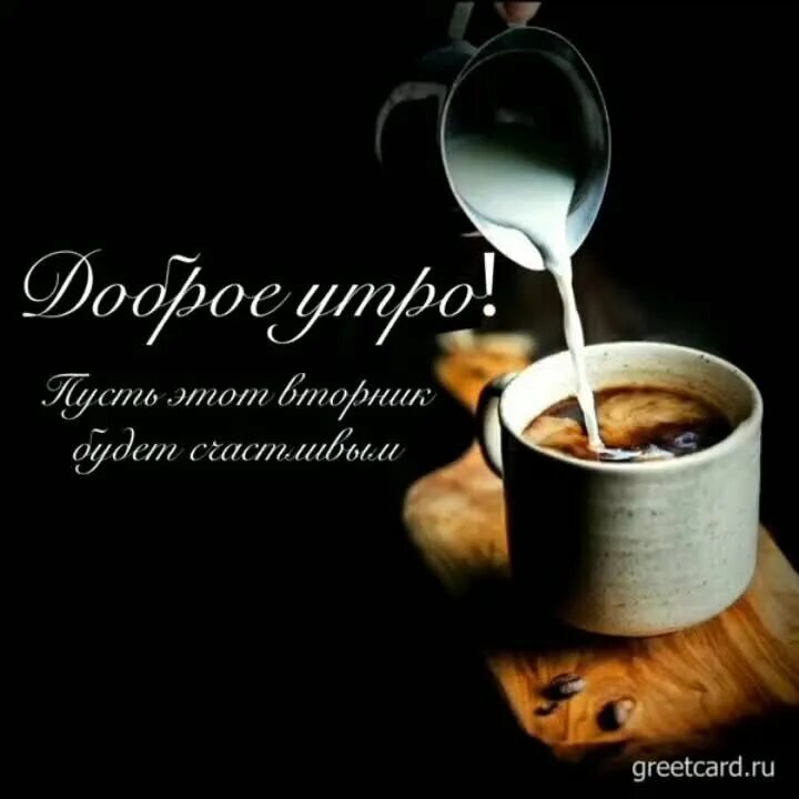 Картинки хорошего утра и дня мужчине ☕ ☕ ☕ Анютка Г Дзен