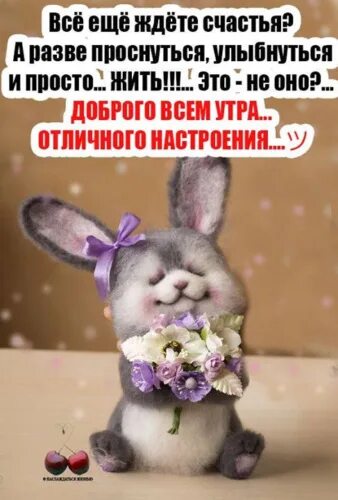 Картинки хорошего утра позитивные настроения женщине Лента по интересам - Картинки - 1237120 - Tabor.ru
