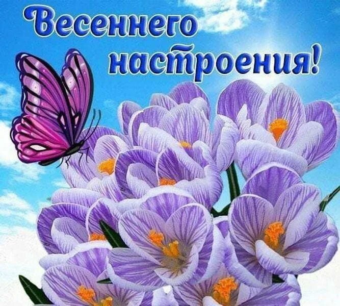 Картинки хорошего весеннего дня и отличного Игровая программа для детей"Весеннее настроение" 2023, Аксубаевский район - дата
