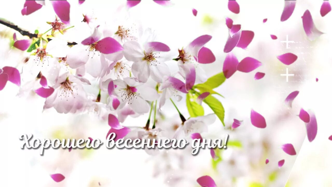Картинки хорошего весеннего дня и отличного Хорошего весеннего дня! - YouTube