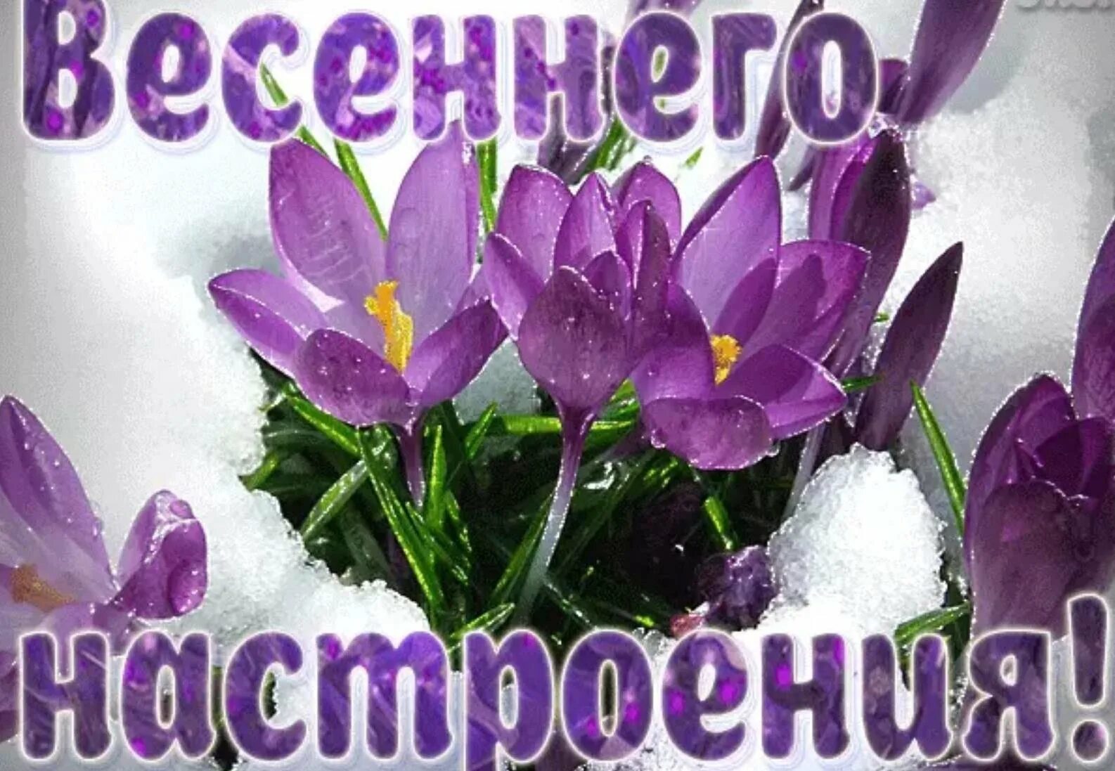 Картинки хорошего весеннего дня и отличного С первым днем весны доброе утро слова: найдено 89 изображений