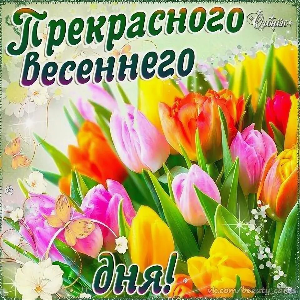 Картинки хорошего весеннего дня и отличного Пин от пользователя Larisa Smirnova на доске Утро День Весна, Открытки, Фиалки