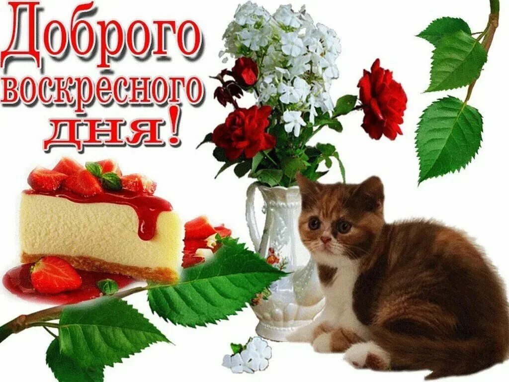 Картинки хорошего воскресного дня и отличного Воскресенье доброе утро и хорошего дня отличного: найдено 90 изображений