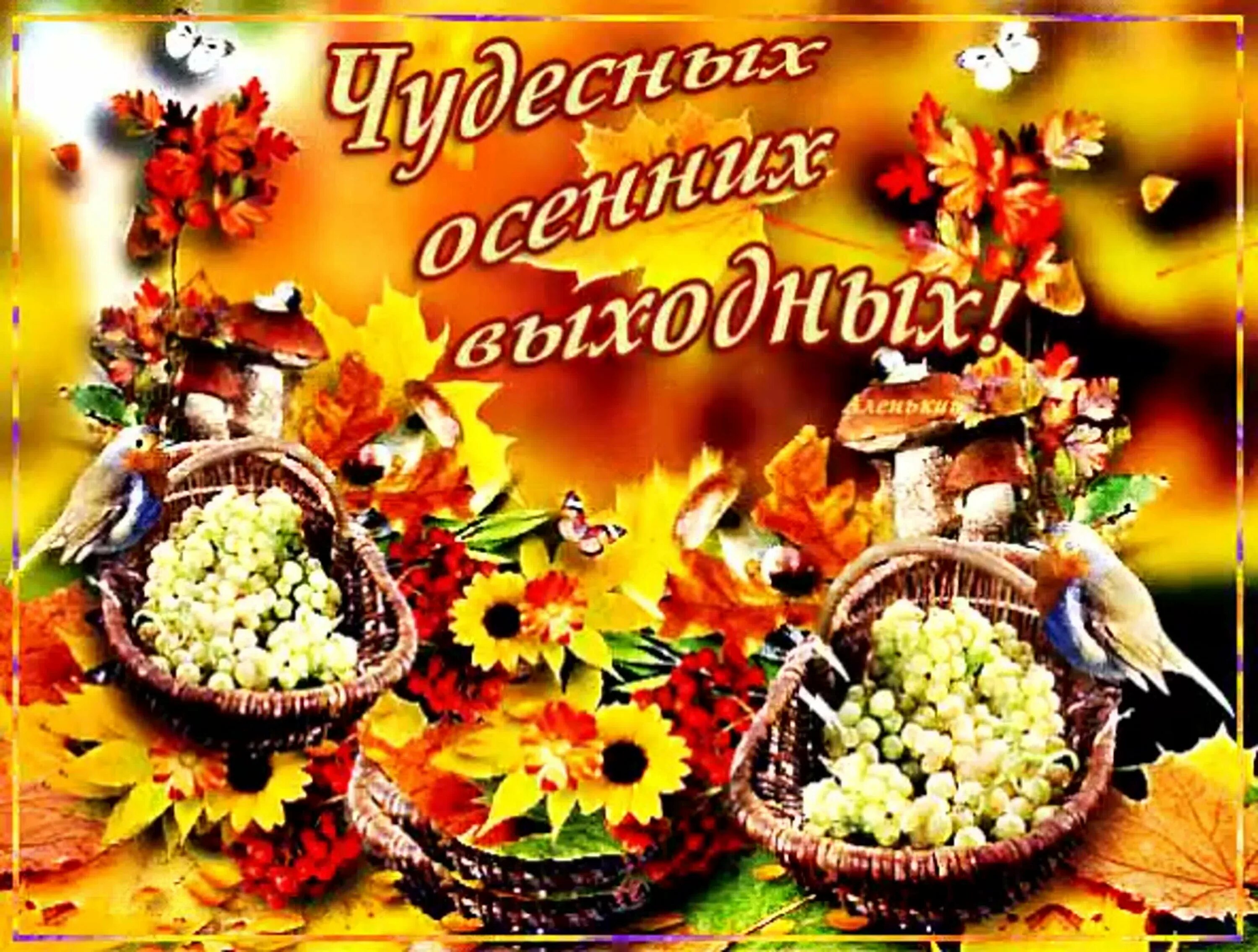 Картинки хорошего выходного дня осенние Доброе утро суббота картинки красивые новые осенние: найдено 90 изображений