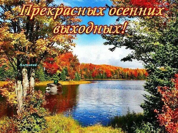 Картинки хорошего выходного дня осенние Pin di Чечикова Татьяна su Добрый день