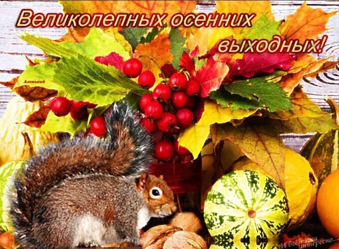 Картинки хорошего выходного дня осенние Золотая осень на выходных! - Всем учителям