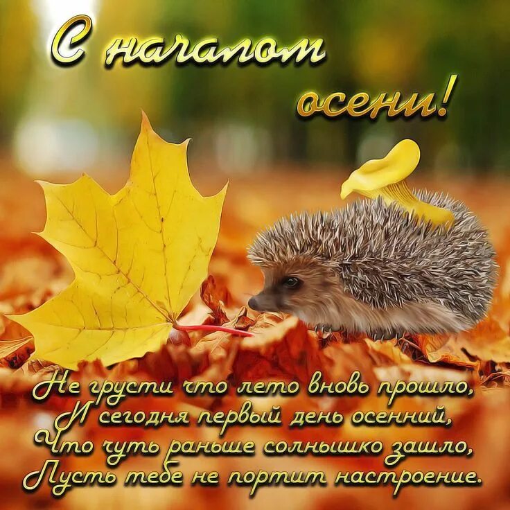 Картинки хорошей осени с пожеланиями красивые С началом осени!