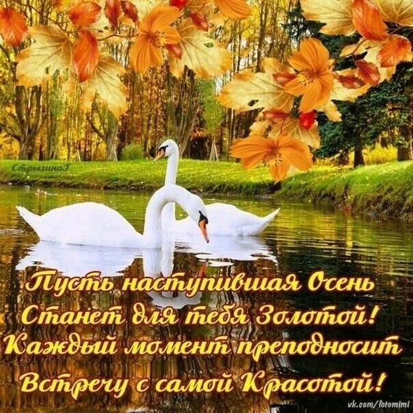 Картинки хорошей осени с пожеланиями красивые Пин от пользователя Любовь Канарян на доске с добрым утром Осенние картинки, Осе