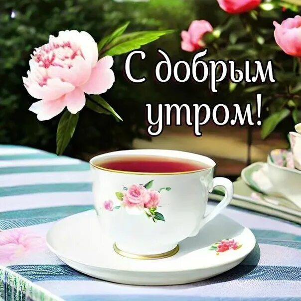 Картинки хорошие новые скачать добрым утром Фотографии на стене сообщества - 80 фотографий ВКонтакте