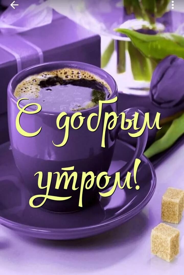 Картинки хорошие новые скачать добрым утром Pin auf Доброе утро Guten morgen